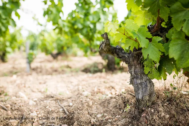 Domaine Saint Nicolas