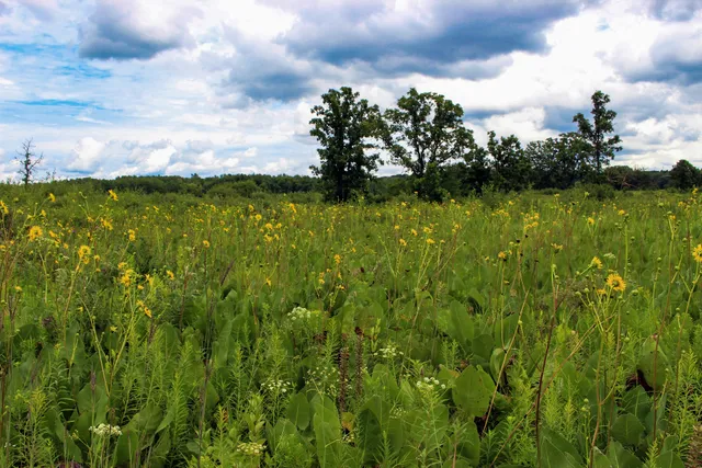 Kettle Moraine Low Prairie State Natural Area