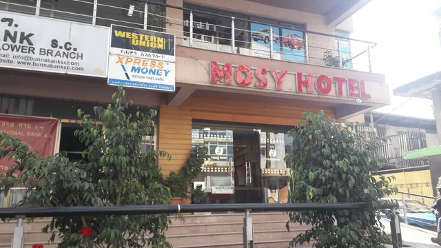 Mosy Hotel | Meskel Flower | ሞሲ ሆቴል | መስቀል ፍላወር