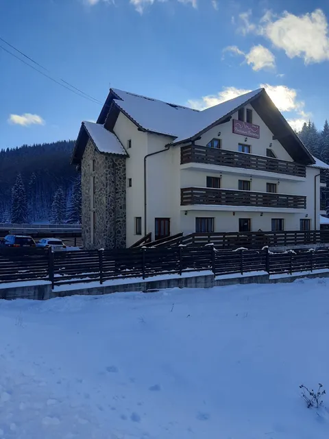 Pensiunea Bucovina