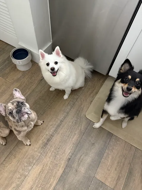 Cooper City Animal Clinic