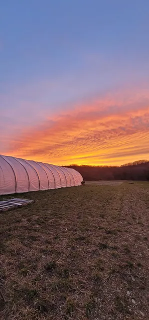 Munsee Three Sisters Farm