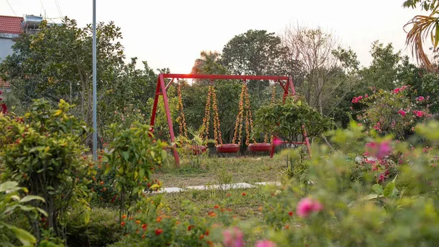 Palm Villa & Homestay