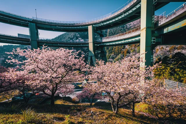 Kawazu Nanadaru Loop Bridge