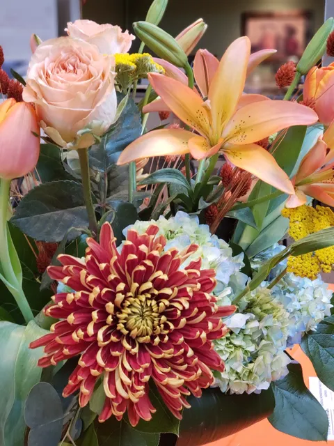 Junior League-Springfield Mo