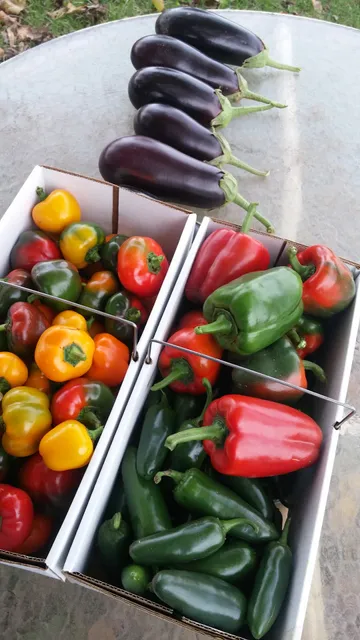 Wilber's Northside Market