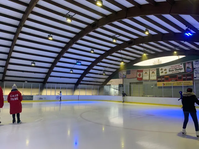 The Rink