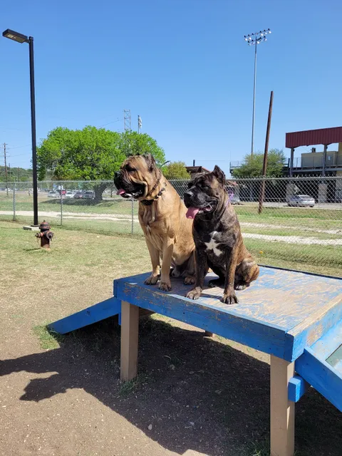 Dog Park