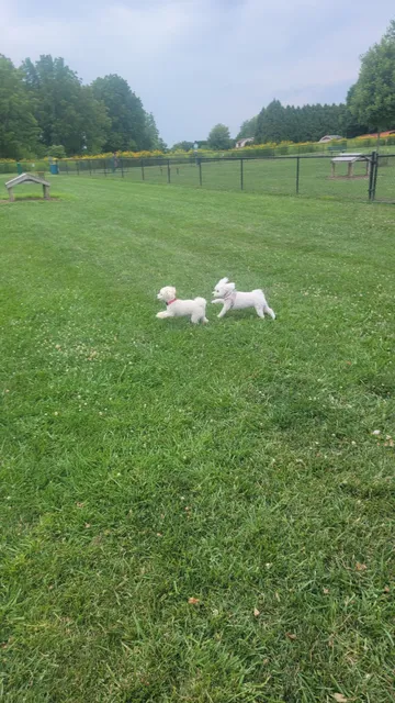 Northampton & Bath Railroad Bike Path