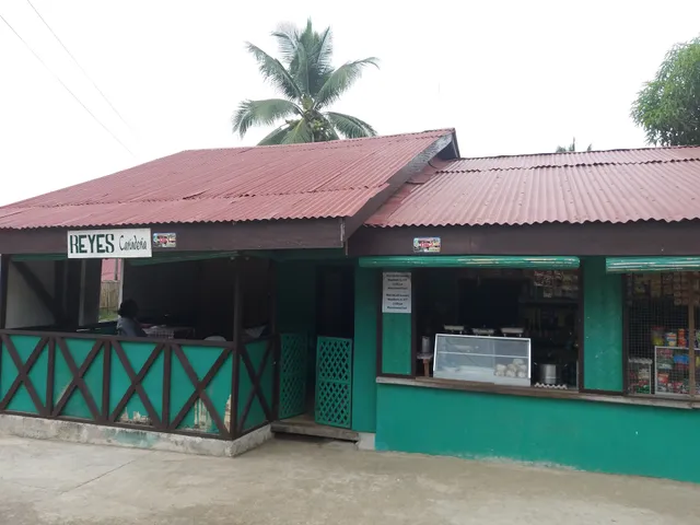 REYES STORE AND CARINDERIA