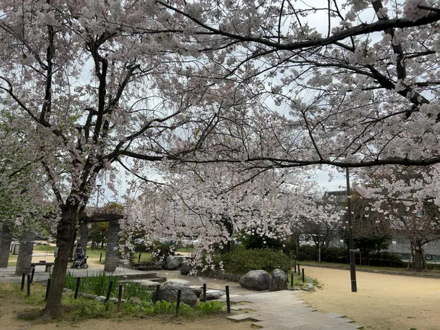 Sakurai Park