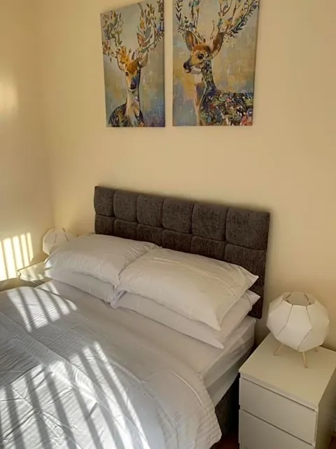 Smeaton Street Accommodation