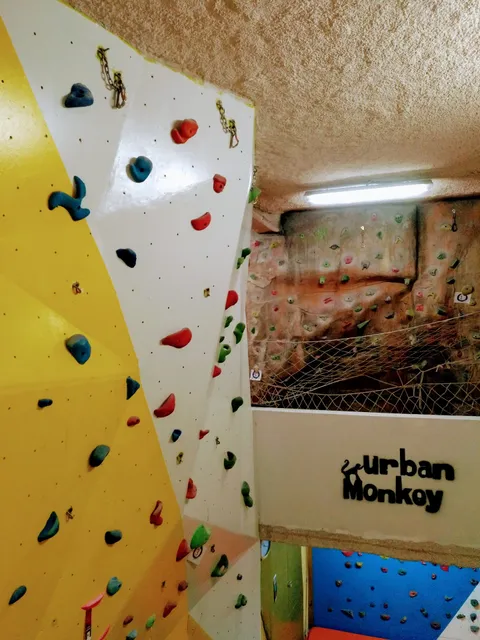 Rocódromo Urban Monkey - Madrid