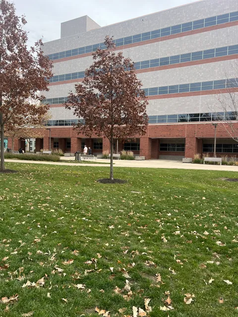 Roy J. and Lucille A. Carver College of Medicine