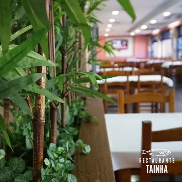 Restaurante Tainha, Lda