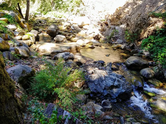 Saratoga Springs Events & Weddings