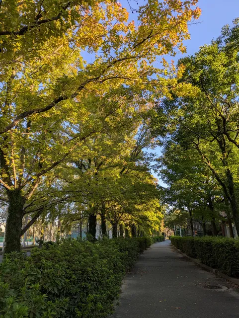 Chikushi Campus, Kyushu University