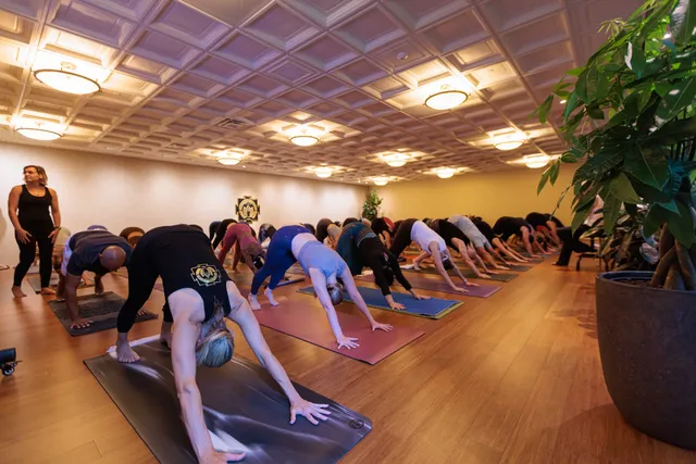 Mysore Yoga Atlanta