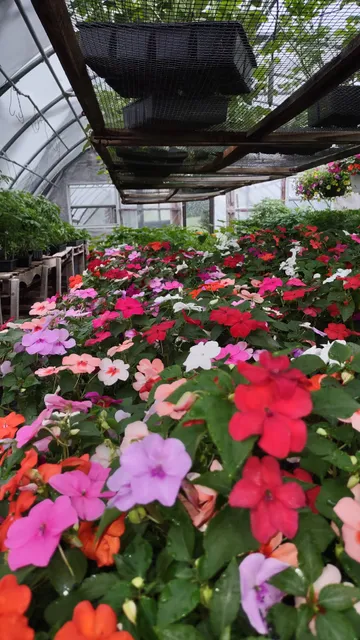 Sheeley's Organic Farm Stand