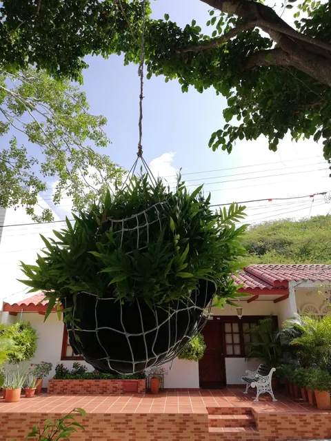 Apto Urbanizacion la Española