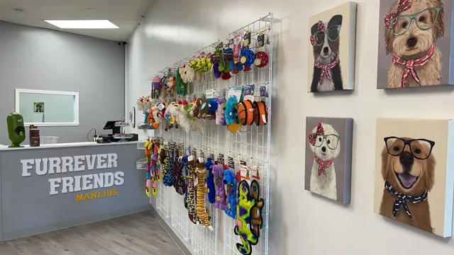 Furrever Friends Pet Boutique & Grooming Salon - Manlius