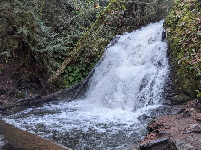 Dickerson Creek Falls Trailhead