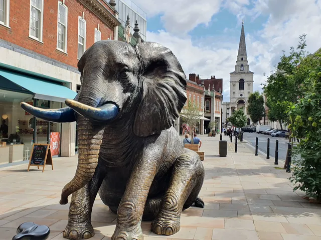 Herd of Hope Elephants
