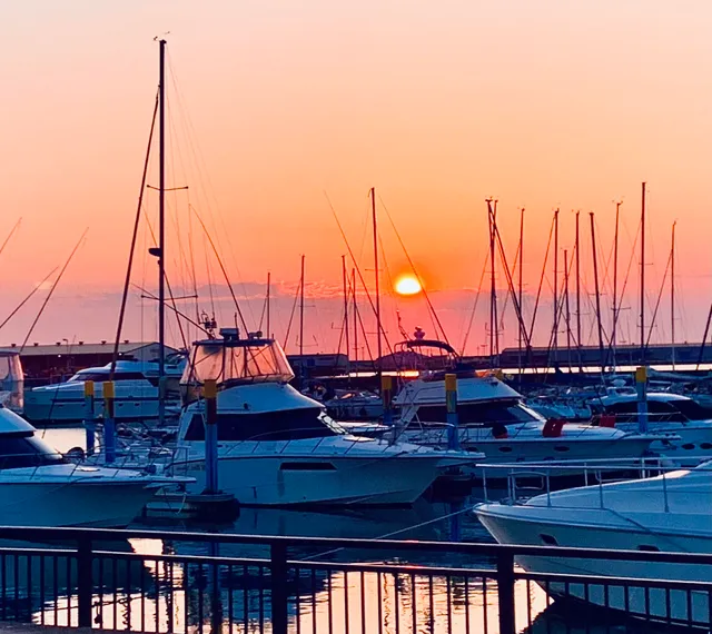 泉大津なぎさ公園BBQ "N GRILL"