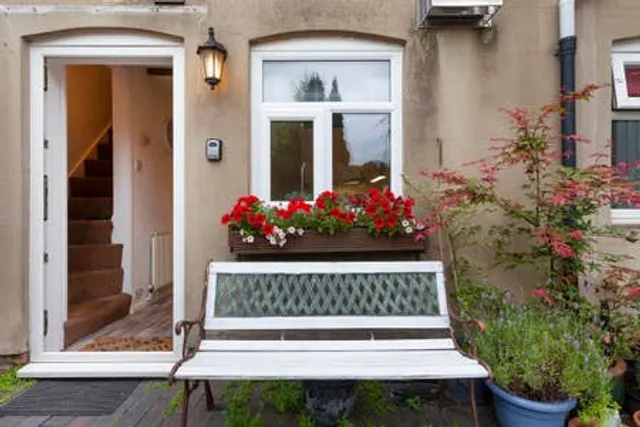 Silver Stag Properties- Central