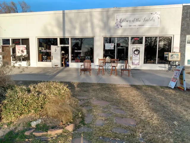 Lillies of The Field