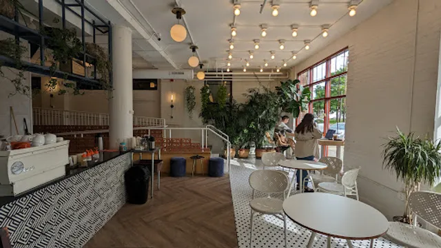 Rising Star Coffee Roasters