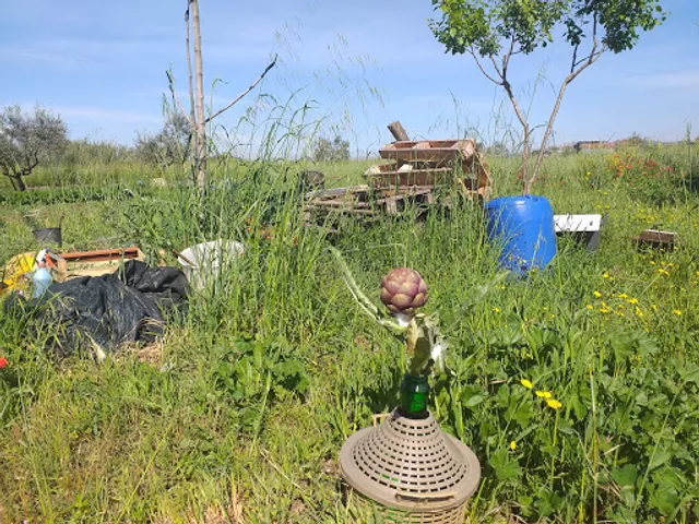 Centro Sportivo Alicocco