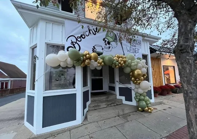 Boochie Kombucha and Wellness Bar- Rockford