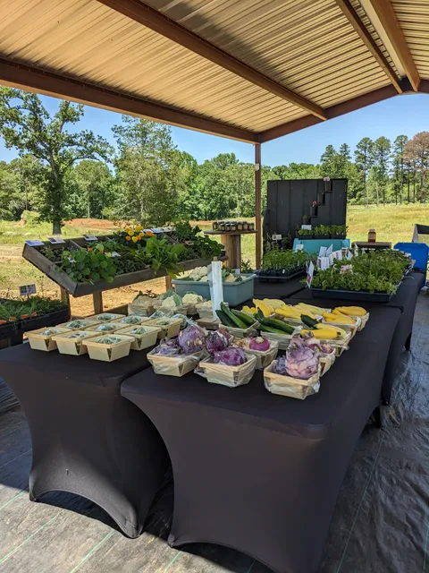 M & J Farms (Hughes Springs, Texas)