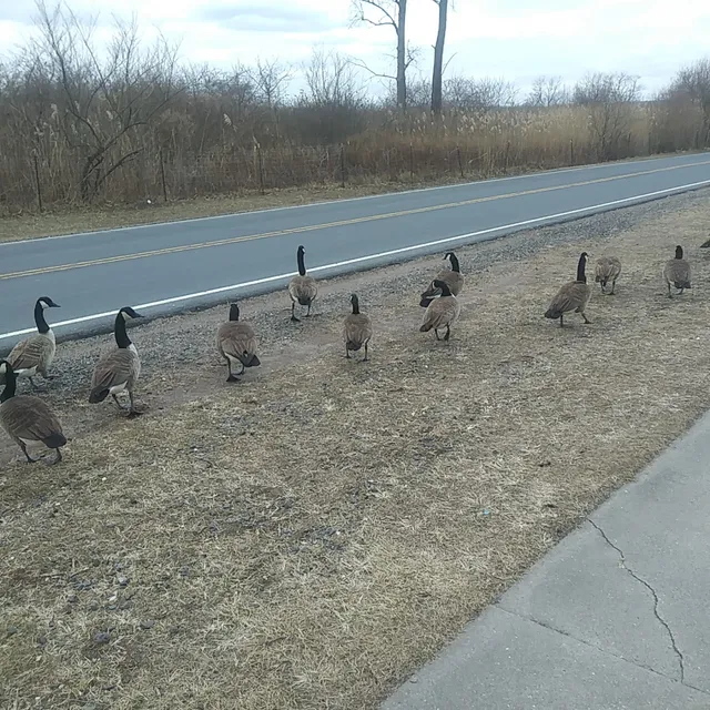 Oakwood Beach Wastewater Treatment Plant