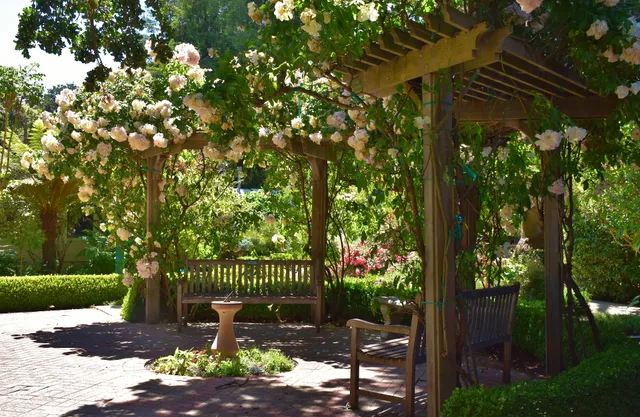 San Mateo Arboretum Society