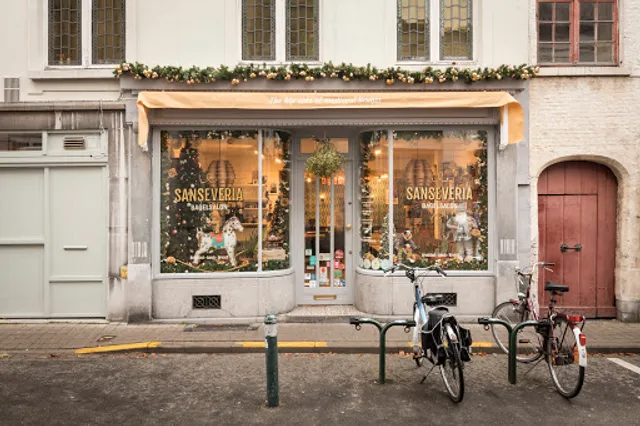 Sanseveria Bagelsalon