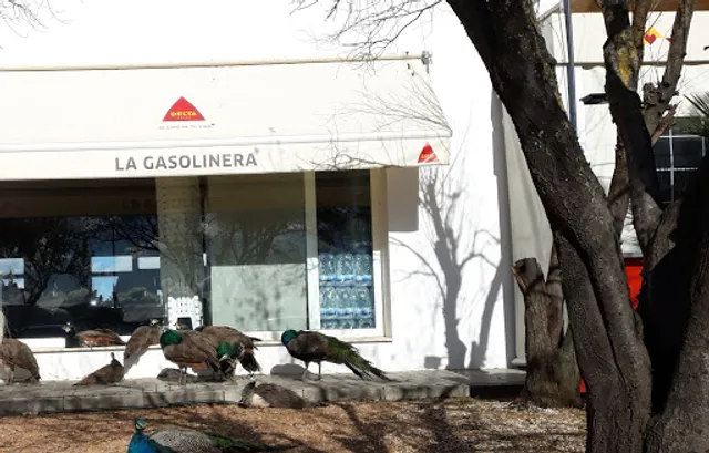 La gasolinera 375
