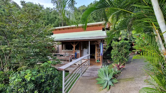 Le Bougainvillier Blanc