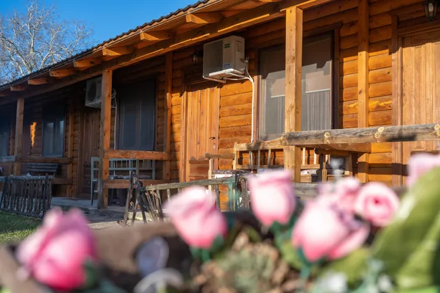 Lolini Bungalovi Novi Sad