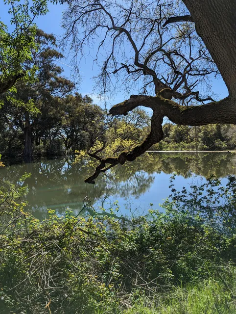Picchetti Ranch Vista Point