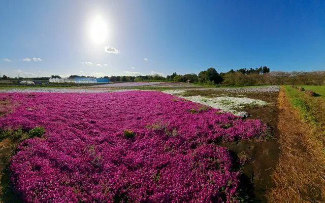 富田さとにわ耕園