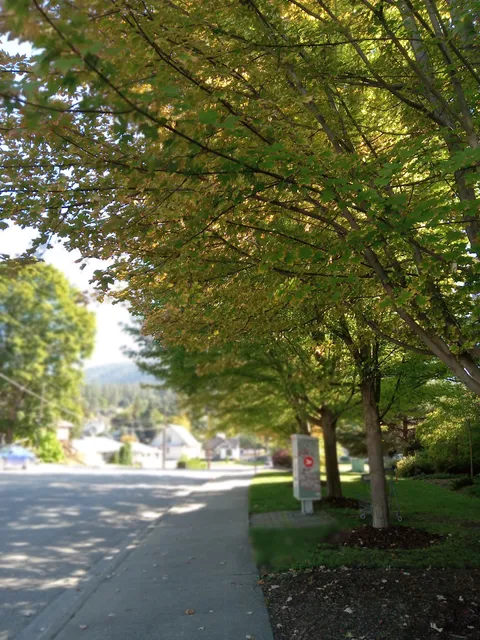 Fletcher Splash Park
