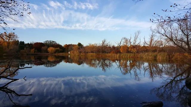 Fresh Pond Reservation