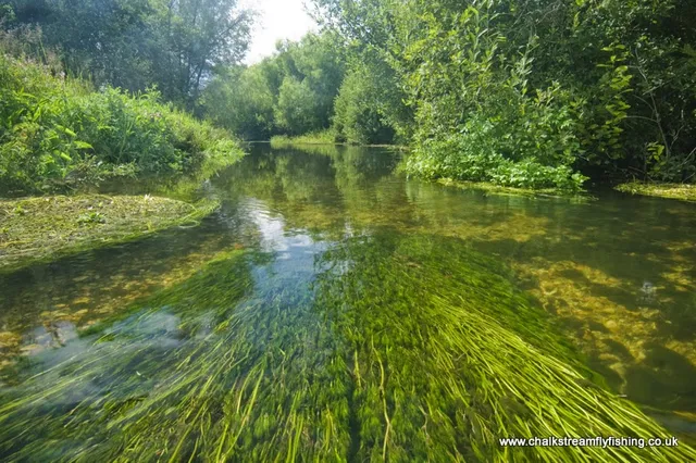 Casterbridge Fisheries Ltd
