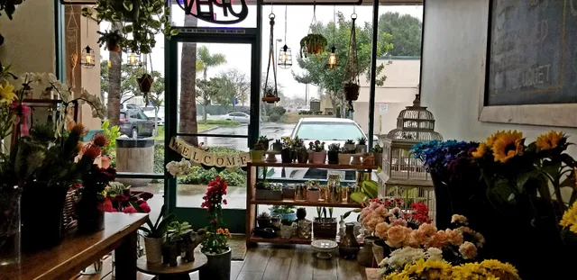 Bloom in Box (by Flower & Co.)