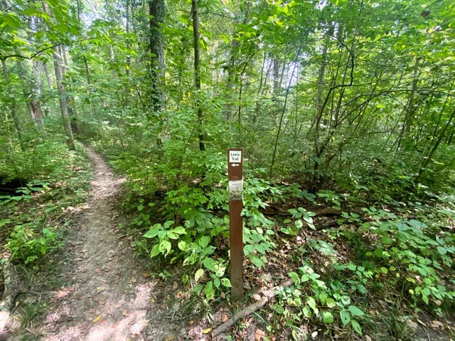 Weldon Spring Hollow Natural Area