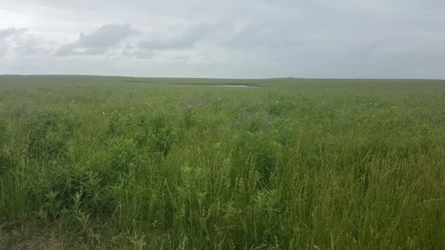 Tallgrass Prairie Preserve Visitor Center