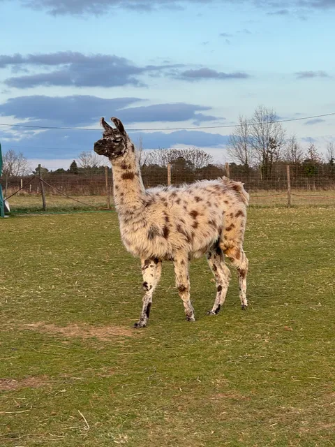 La Fermette du Pérougord
