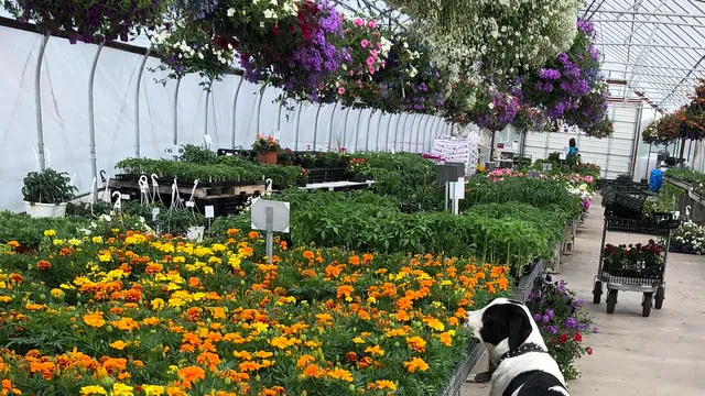 Pleasant Valley Gardens